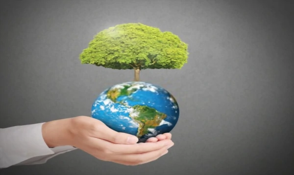 environment friendly environment friendly